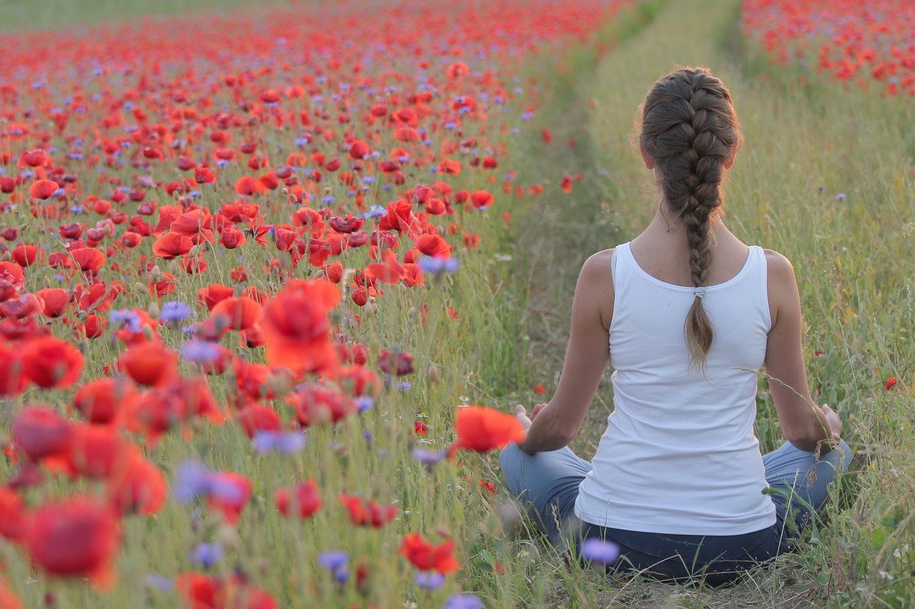 poppies, yoga, field-3644060.jpg